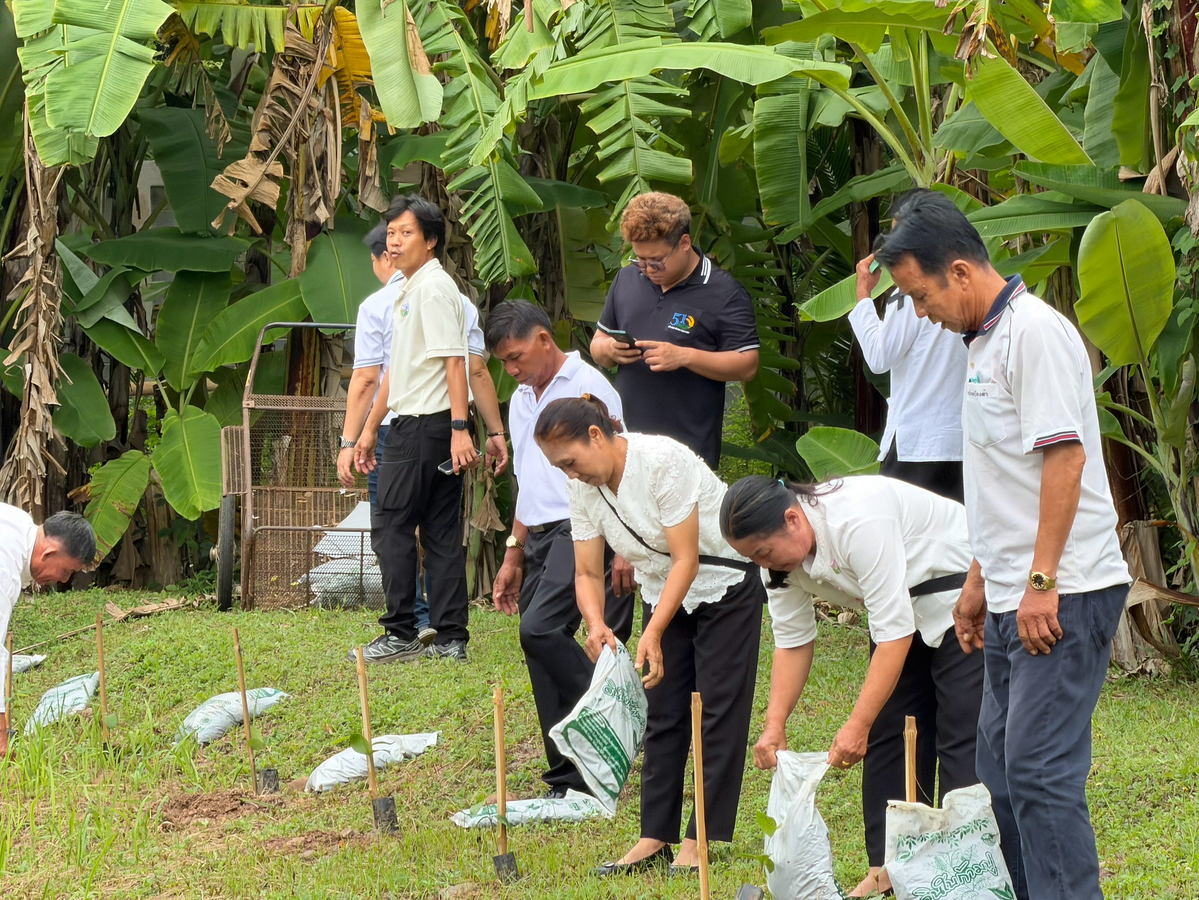 title - ส.ป.ก.แพร่ จัดโครงการ ปลูกเพื่อเปลี่ยน เปลี่ยนเพื่อยั่งยืน  เทิดไท้องค์ทศมราชา เพื่อเพิ่มพื้นที่สีเขียวในเขตปฏิรูปที่ดิน